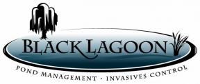 Black Lagoon