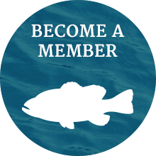 Become a Member